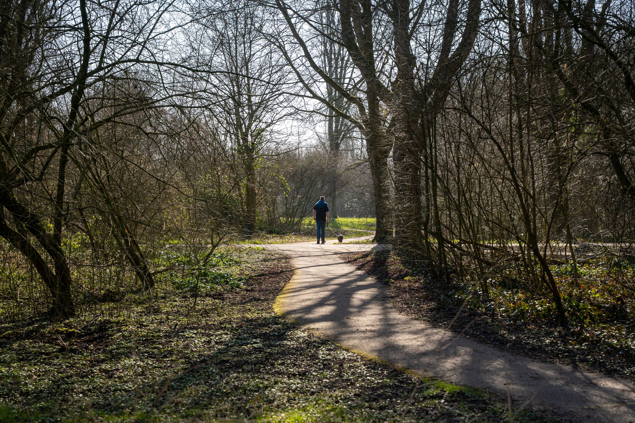 Foto 42 van Donizettirode 21