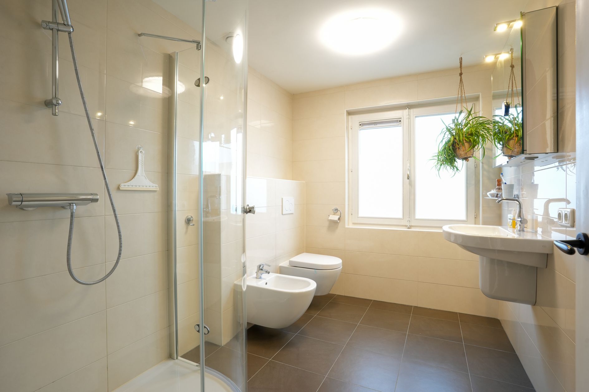 Foto 12 van Steenberg 85