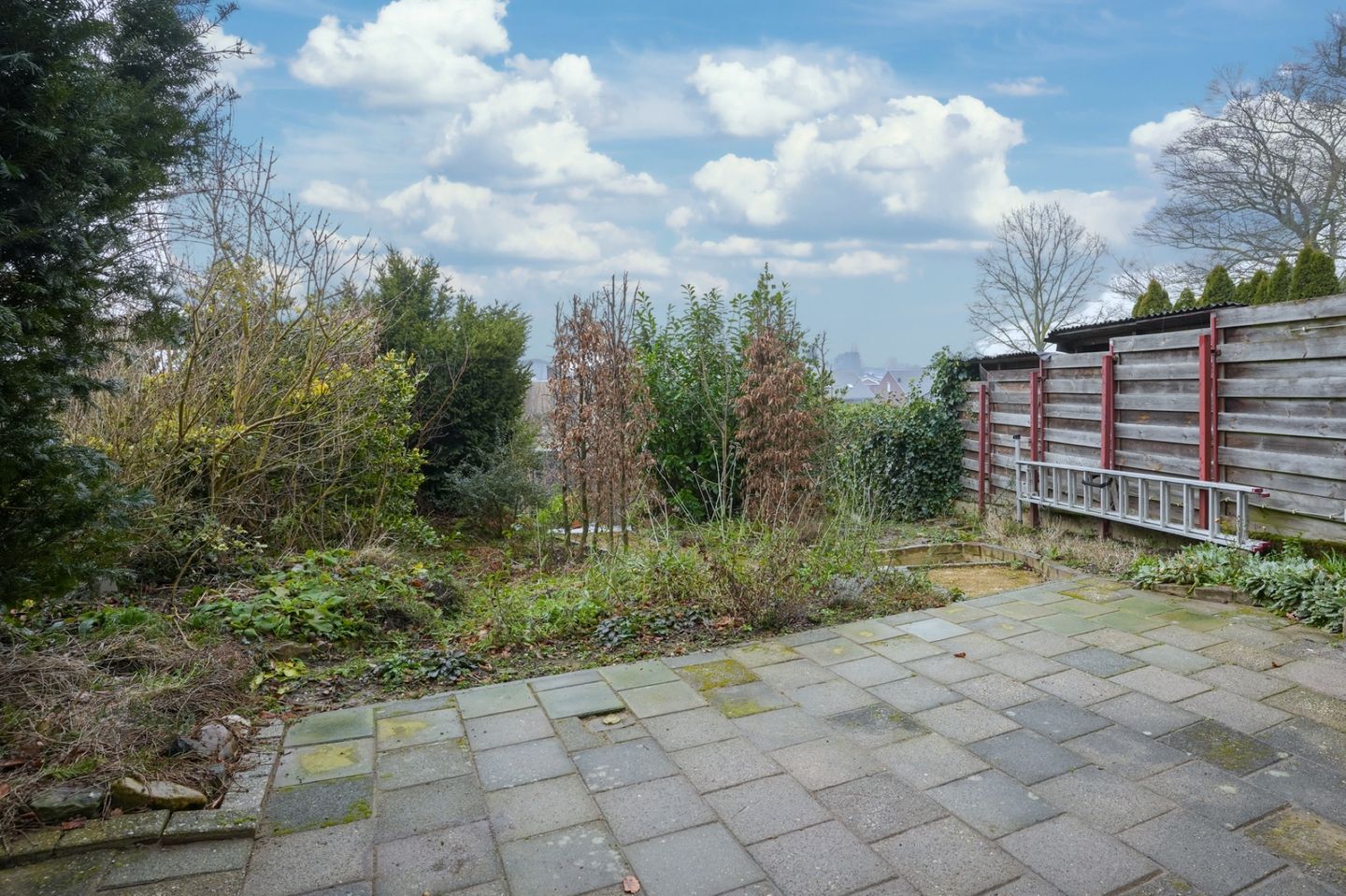 Foto 20 van Steenberg 85