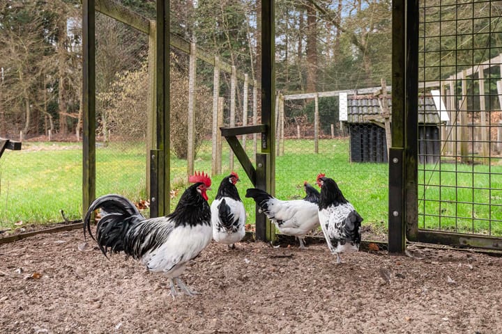 Foto 38 van Eperweg 133