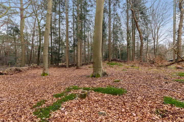 Foto 46 van Eperweg 133