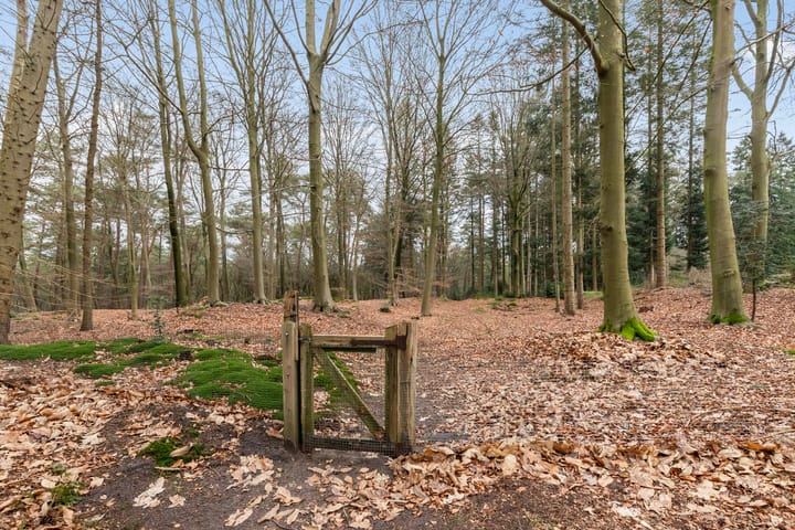 Foto 47 van Eperweg 133