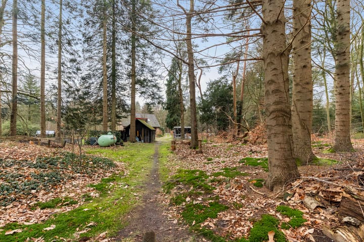 Foto 48 van Eperweg 133