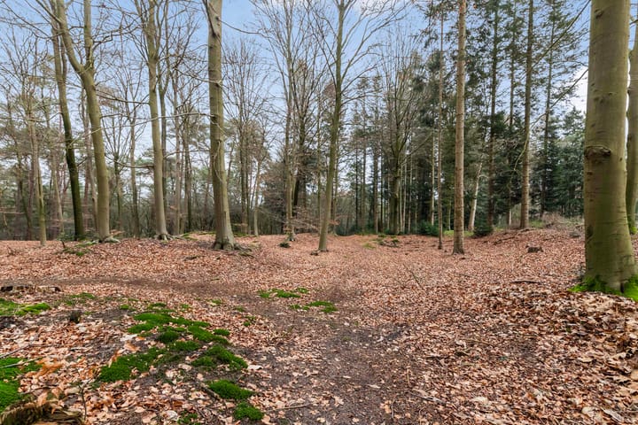 Foto 49 van Eperweg 133