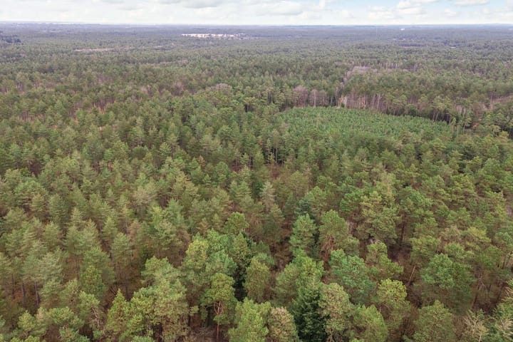 Foto 50 van Eperweg 133