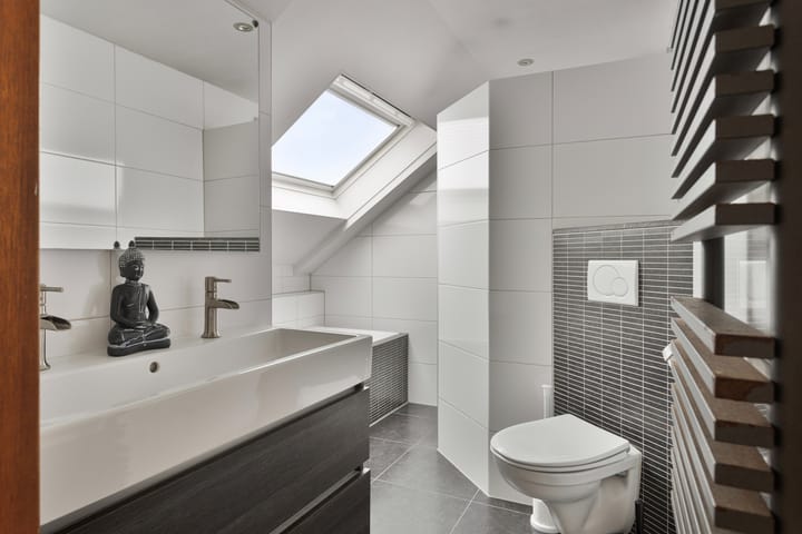 Foto 4 van Kruisdistel 63