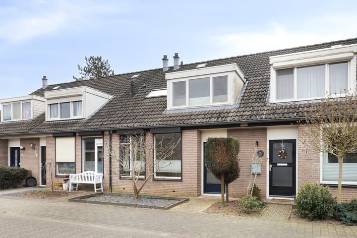 Foto 5 van Kruisdistel 63