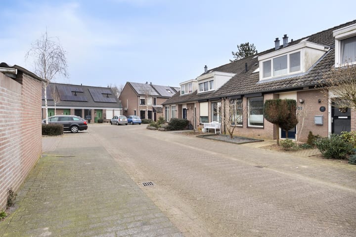 Foto 6 van Kruisdistel 63