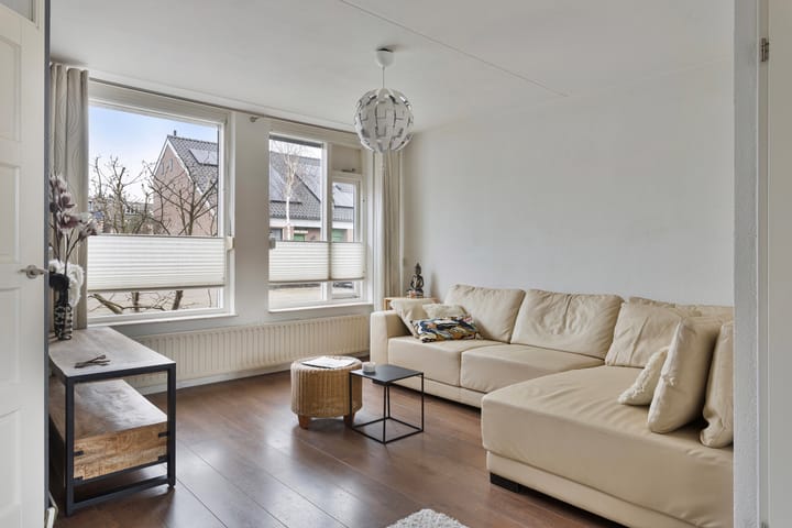 Foto 8 van Kruisdistel 63