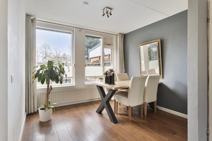 Foto 11 van Kruisdistel 63