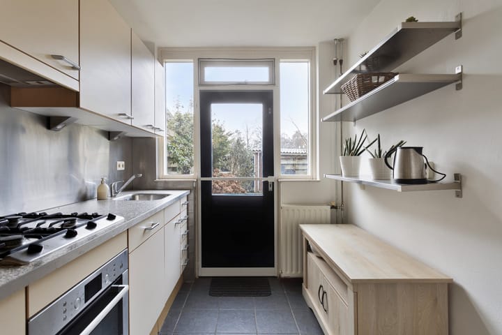 Foto 14 van Kruisdistel 63