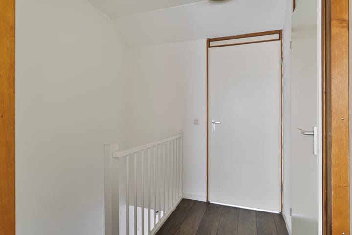 Foto 16 van Kruisdistel 63