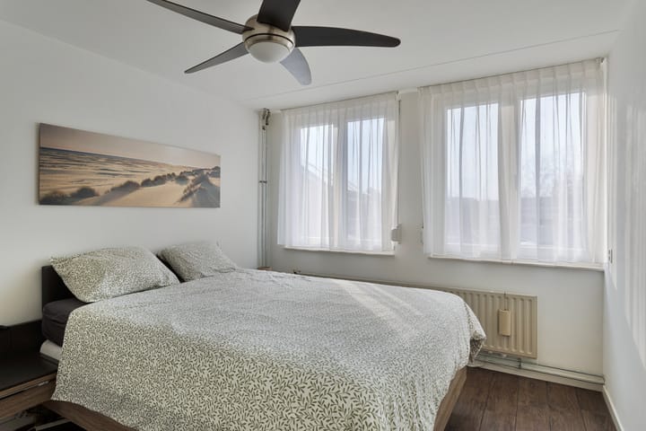 Foto 17 van Kruisdistel 63