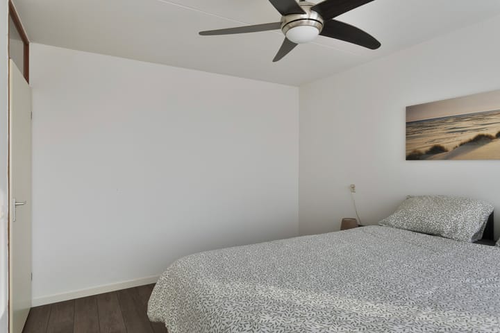 Foto 18 van Kruisdistel 63