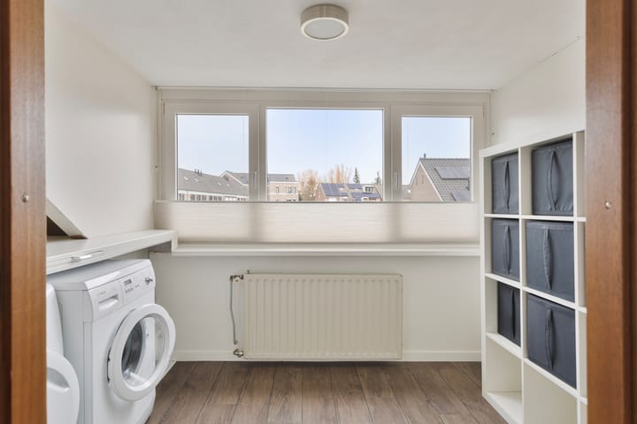 Foto 19 van Kruisdistel 63