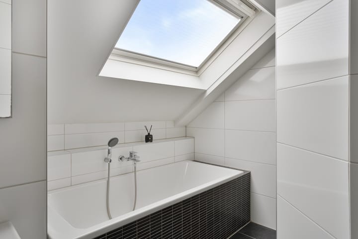 Foto 21 van Kruisdistel 63