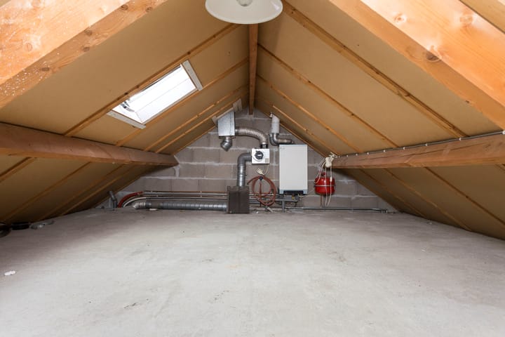 Foto 23 van Kruisdistel 63