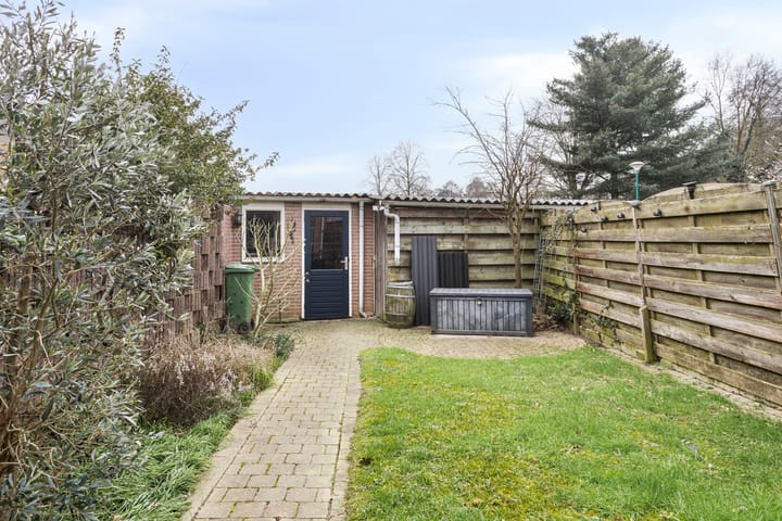 Foto 25 van Kruisdistel 63