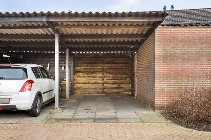 Foto 28 van Kruisdistel 63