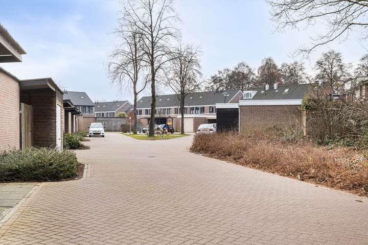 Foto 29 van Kruisdistel 63