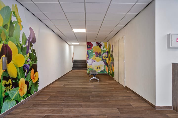 Foto 7 van Concordiastraat 46