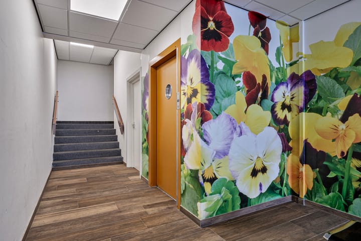 Foto 9 van Concordiastraat 46