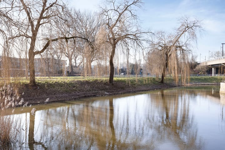 Foto 17 van Meerzichtlaan 208