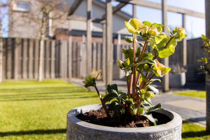 Foto 44 van Cézannehof 1