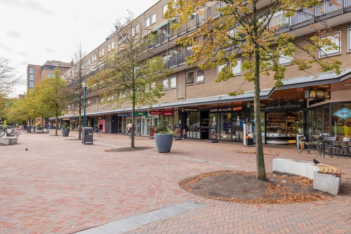 Foto 42 van Floralaan 101