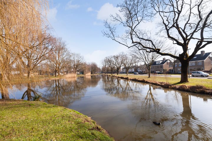 Foto 47 van Esdoornlaan 9