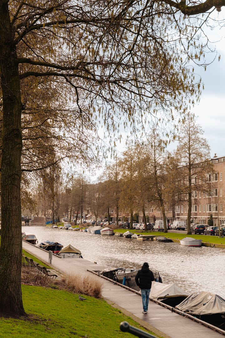 Foto 2 van Admiralengracht 317-3