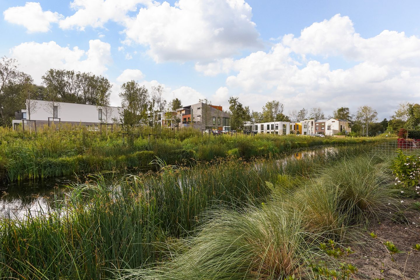 Foto 20 van Duinslag 24