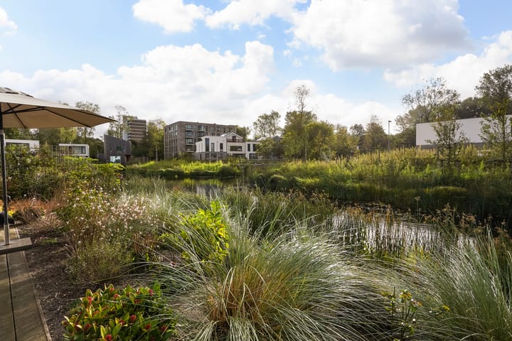 Photo 21 of Duinslag 24