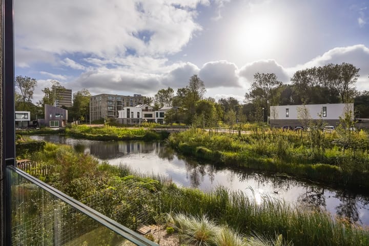 Photo 38 of Duinslag 24