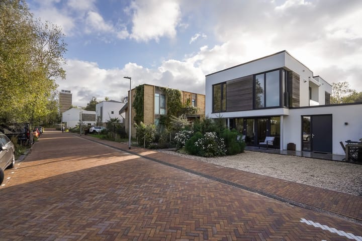 Photo 59 of Duinslag 24