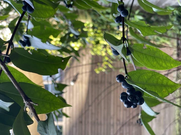 Foto 17 van Defensie-eiland 235