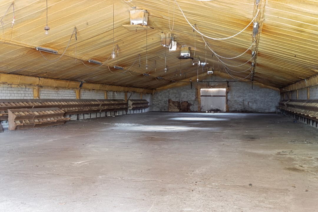 Photo 22 of Tungeler Dorpsstraat 81