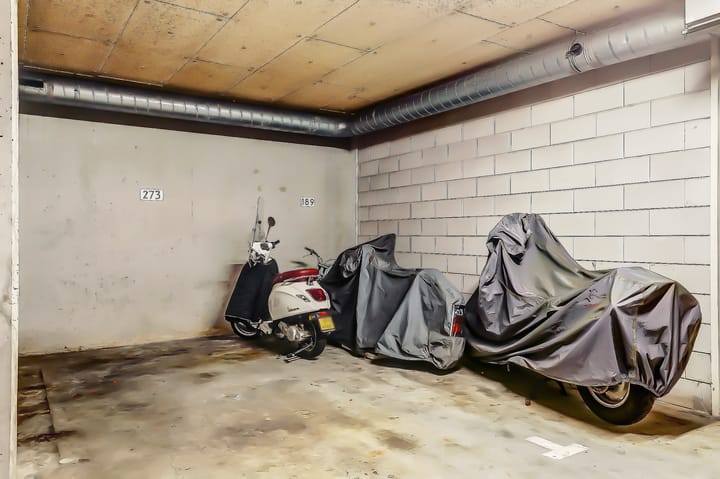 Foto 13 van Rietlandterras 52