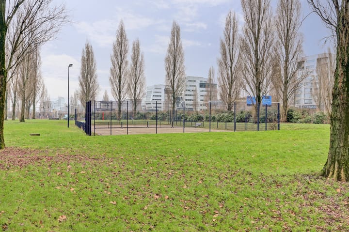 Foto 16 van Rietlandterras 52