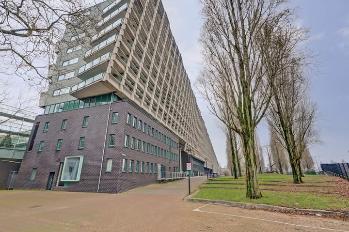 Foto 18 van Rietlandterras 52