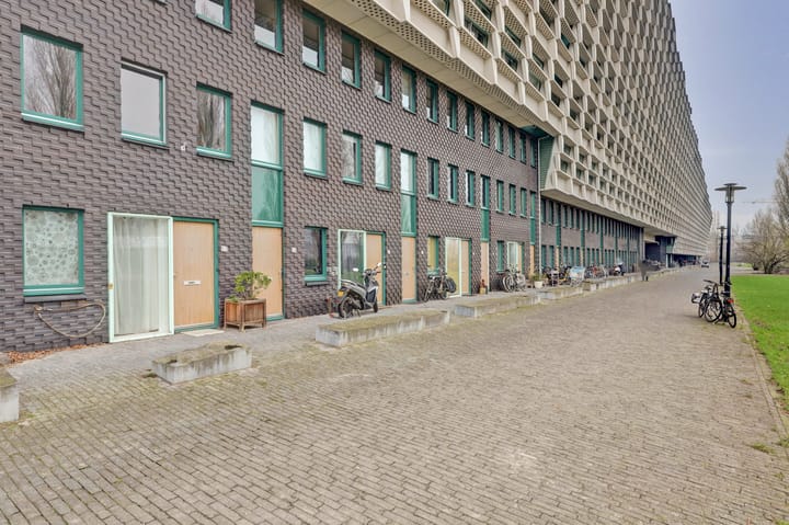 Foto 19 van Rietlandterras 52