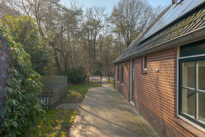 Foto 11 van Rechtuit 57