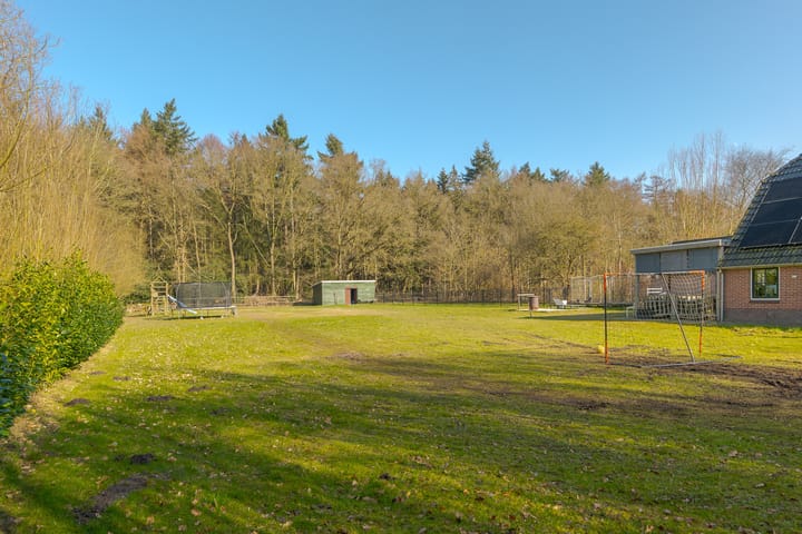 Foto 54 van Rechtuit 57