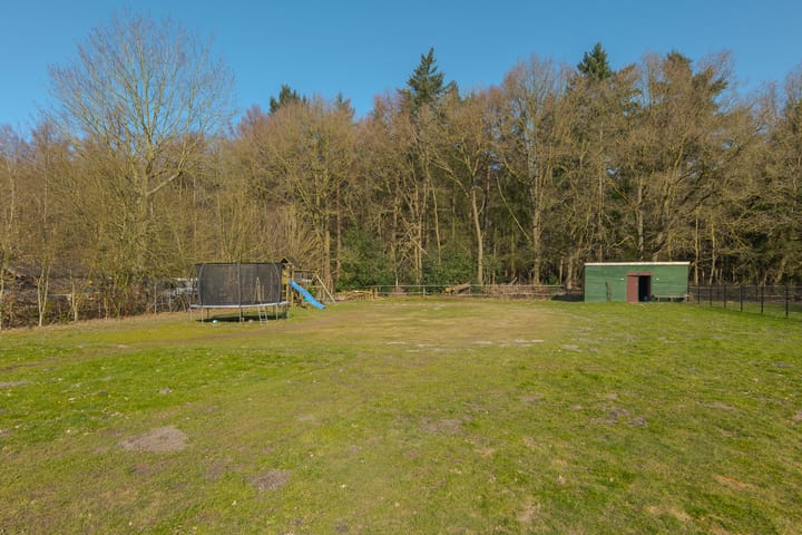 Foto 55 van Rechtuit 57