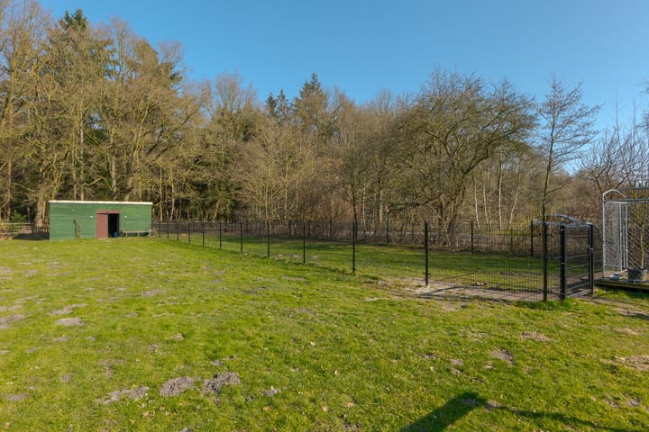 Foto 56 van Rechtuit 57