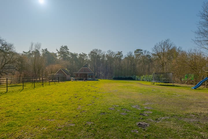 Foto 57 van Rechtuit 57