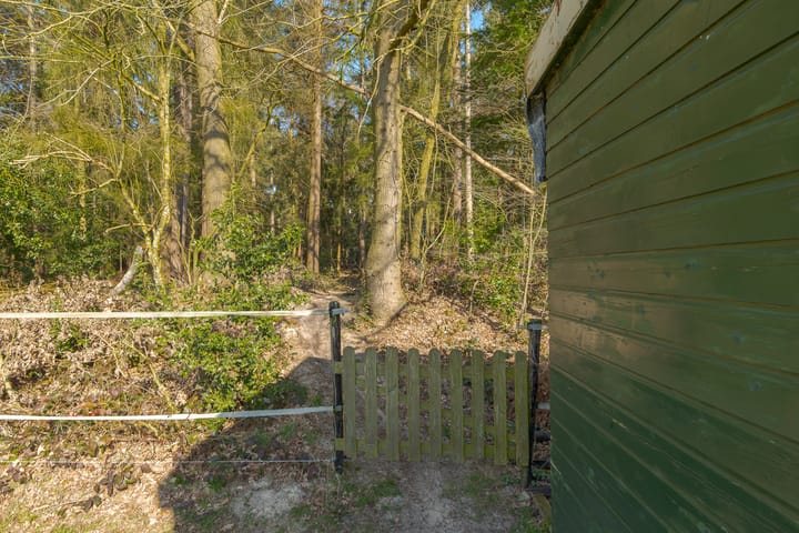 Foto 58 van Rechtuit 57