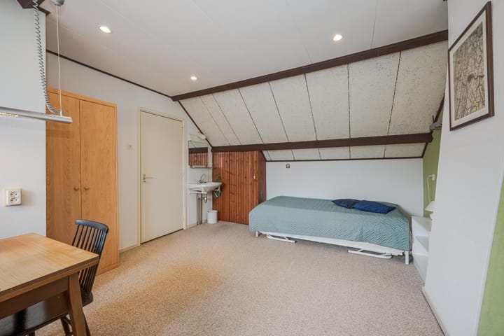 Foto 30 van Tsjaikovskilaan 20