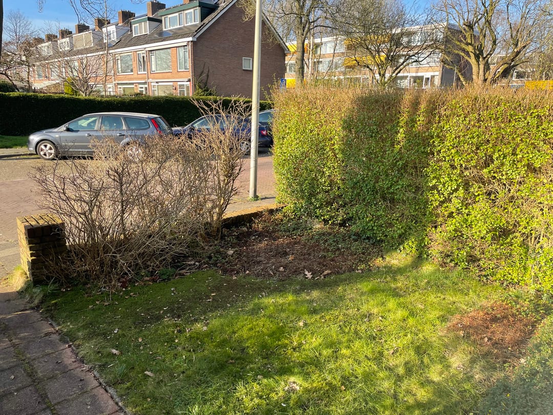 Foto 31 van Tsjaikovskilaan 20