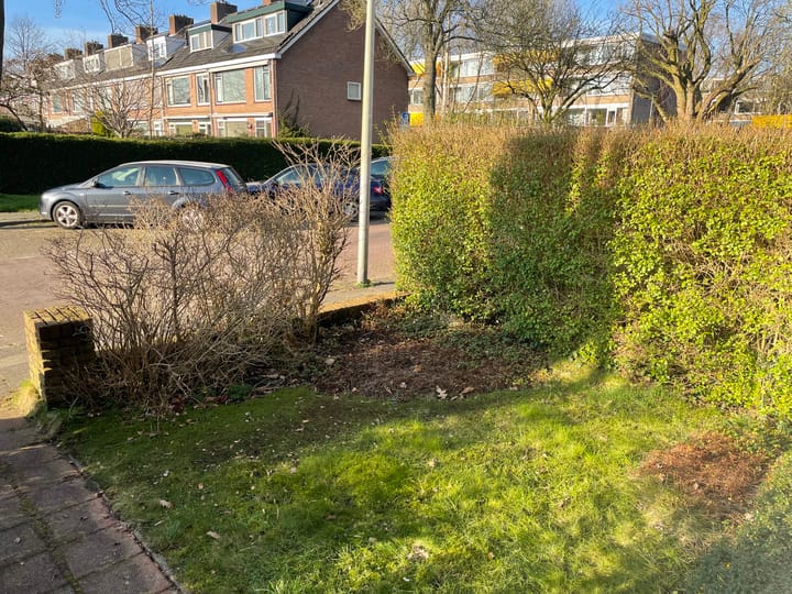 Foto 31 van Tsjaikovskilaan 20